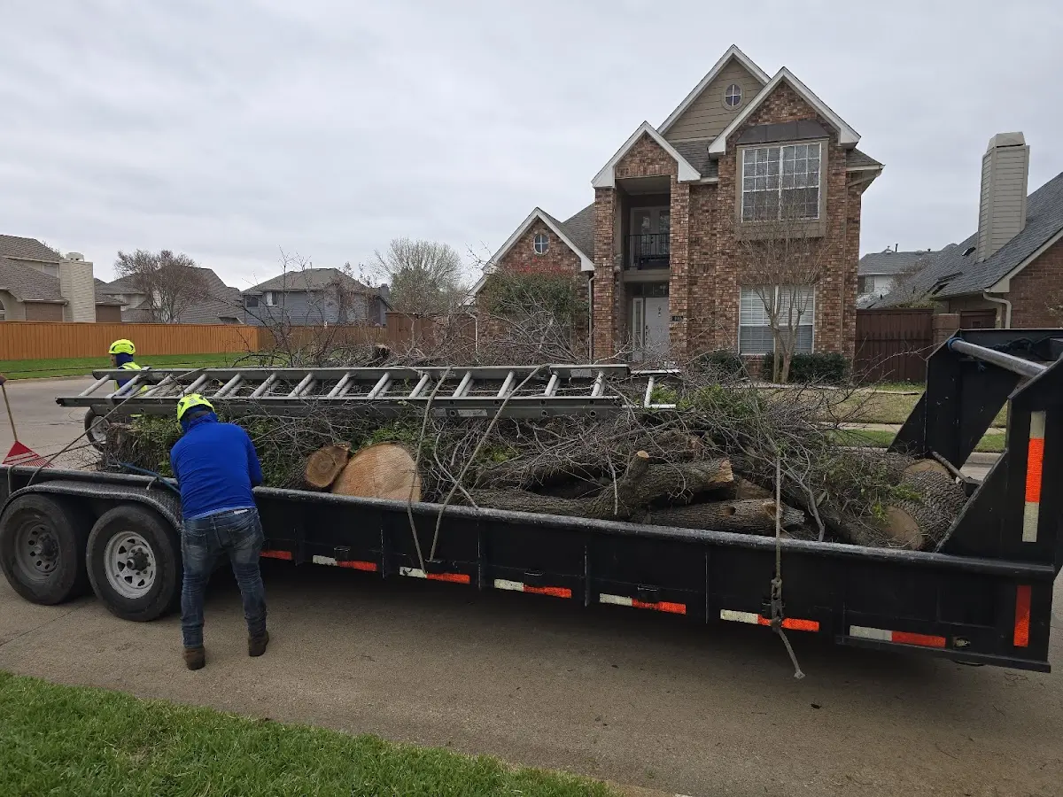 Expert Lot Clearing with proper safety equipment in Saint Hilaire